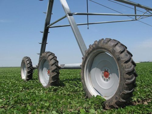 L Flex Base (flat) On Beans Close Up Rszd