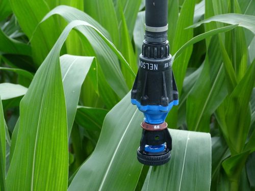 Nelson Regulator And Spray Sprinkler Rszd